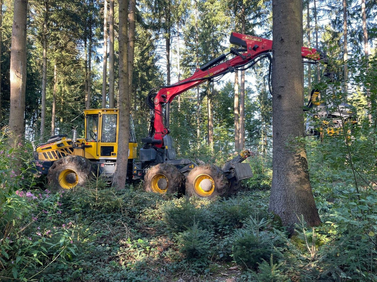 KRENN Holz & Forst · Arbeit im Wald