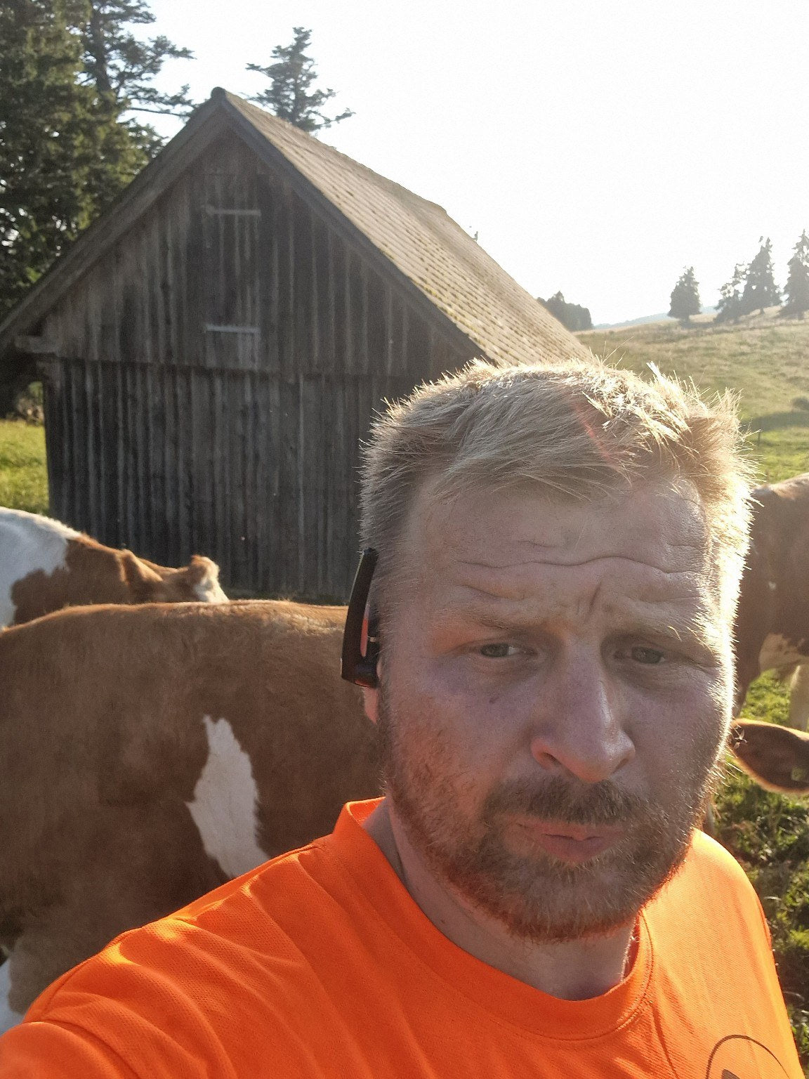 Martin unterwegs auf der Alm